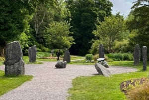 Castello di Blarney e città di Cork: tour privato in taxi.