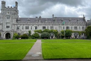 Castello di Blarney e città di Cork: tour privato in taxi.