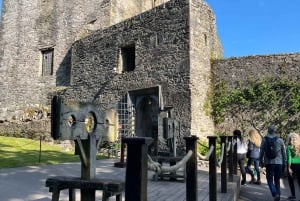 Castello di Blarney e città di Cork: tour privato in taxi.