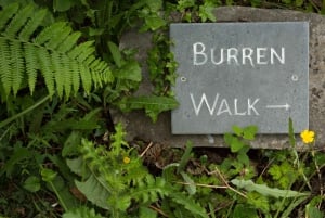 Burren Botany Experience