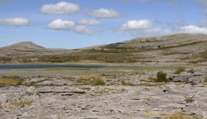 Burren Wild Guided Walking Tours