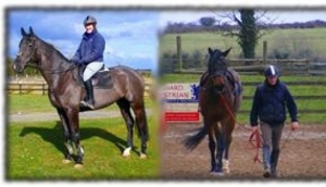 Clare Equestrian Centre