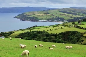 Cliffs of Moher and Blarney 2-Day Tour from Dublin