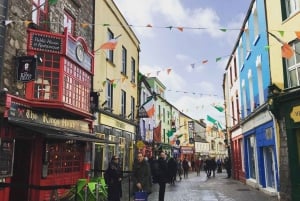 Galway e Scogliere di Moher: tour in italiano o spagnolo
