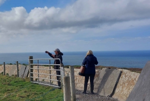 Cliffs of Moher and National Park Private Limousine Tour