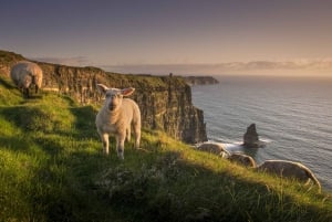 Cliffs of Moher: Visitor Experience Ticket