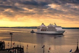 Coach Shore Tour from Foynes: Cliffs of Moher