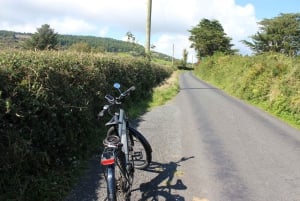 County Clare: eBike-Tour mit Guide und Bootstour nach Inis Cealtra
