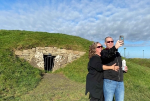 Tour di un giorno: La collina di Tara Il castello di Trim La valle del Boyne Siti celtici