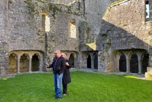 Tagestour: Hill of Tara Trim Castle Boyne Valley Keltische Stätten