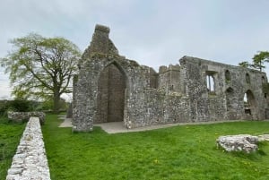 Excursão de um dia: Colina de Tara Castelo de Trim Vale do Boyne Locais celtas