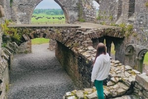 Tour di un giorno: La collina di Tara Il castello di Trim La valle del Boyne Siti celtici