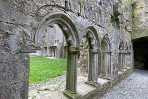 Excursão de um dia: Colina de Tara Castelo de Trim Vale do Boyne Locais celtas