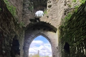 Päiväretki: Tara-kukkula Trimin linna Boyne Valley Kelttiläiset nähtävyydet