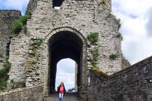 Dagsutflykt: Tara Hill Trim Castle Boyne Valley Keltiska sevärdheter