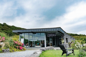 Doolin Cave: Underground Stalactite Tour
