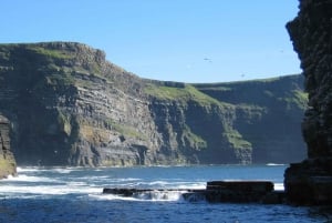 Dublin: Cliffs of Moher, Atlantic Edge & Galway City