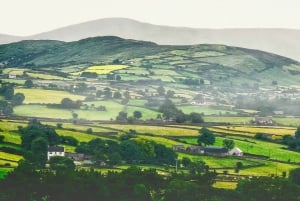 Dublin: Excursão de um dia às Falésias de Moher, Burren e Galway