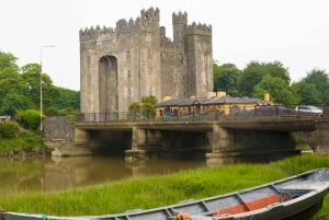 Dublin: Cliffs of Moher, Ennis, & Bunratty Castle Day Tour