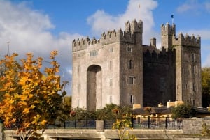 Dublin: Cliffs of Moher, Ennis, & Bunratty Castle Day Tour