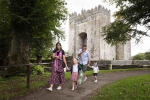 Dublin: Cliffs of Moher, Ennis, & Bunratty Castle Day Tour