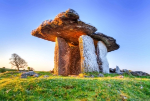 Dublin: Cliffs of Moher, Atlantic Edge & Galway City