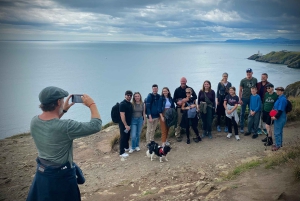 Dublin: Dublin Coastal Hike and Pints & Puppies