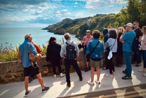 Dublin: Dublin Coastal Hike and Pints & Puppies