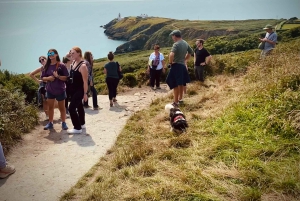 Dublin: Dublin Coastal Hike and Pints & Puppies