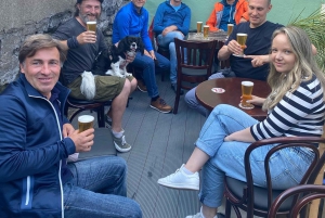 Dublin: Dublin Coastal Hike and Pints & Puppies
