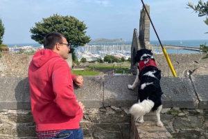 Dublin: Dublin Coastal Hike and Pints & Puppies