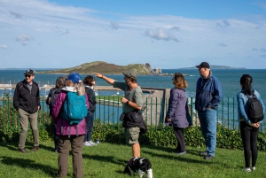 Dublin: Dublin Coastal Hike and Pints & Puppies