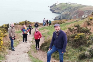 Dublin: Dublin Coastal Hike and Pints & Puppies