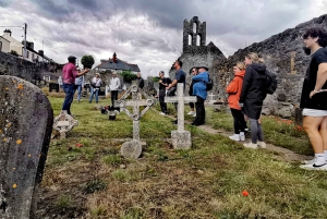 Dublin: Dublin Coastal Hike and Pints & Puppies