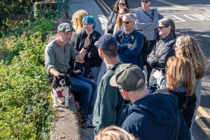 Dublin: Dublin Coastal Hike and Pints & Puppies