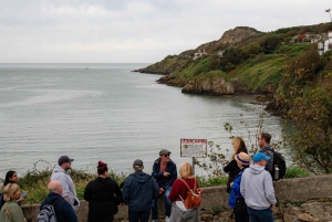 Dublin: Dublin Coastal Hike and Pints & Puppies