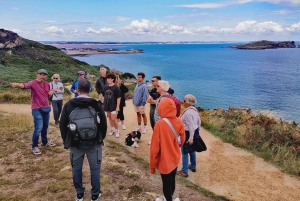 Dublin: Dublin Coastal Hike and Pints & Puppies