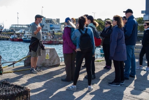 Dublin: Dublin Coastal Hike and Pints & Puppies