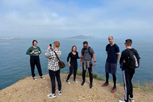 Dublin: Dublin Coastal Hike and Pints & Puppies