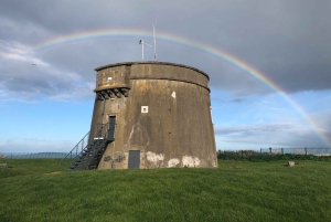 Dublin: Dublin Coastal Hike and Pints & Puppies