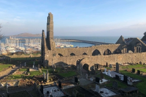 Dublin: Dublin Coastal Hike and Pints & Puppies