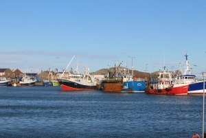 Dublin: Dublin Coastal Hike and Pints & Puppies
