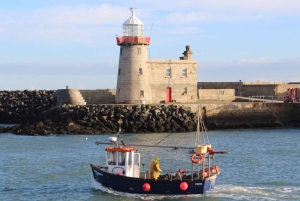 Dublin: Dublin Coastal Hike and Pints & Puppies