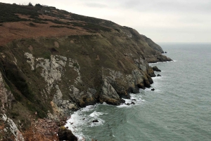 Dublin: Dublin Coastal Hike and Pints & Puppies