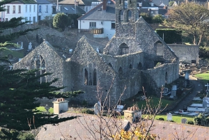 Dublin: Dublin Coastal Hike and Pints & Puppies
