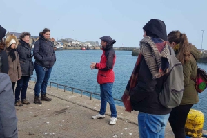 Dublin: Dublin Coastal Hike and Pints & Puppies
