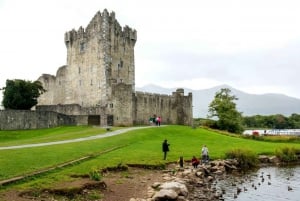 From Cork: 9-Hour Guided Ring of Kerry and Killarney Tour