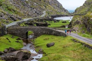 Från Cork: Cork: 9 timmars guidad tur till Ring of Kerry och Killarney