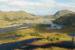From Cork: Ring of Kerry & Killarney Guided Full Day Tour