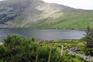 From Cork: Ring of Kerry & Killarney Guided Full Day Tour